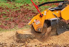 Seasonal Cleanup (Spring/Fall) in Hacienda Heights, CA